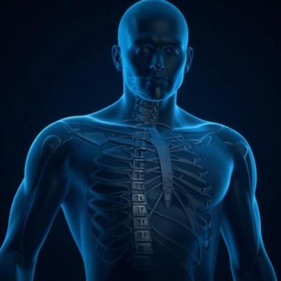 Alimentos ricos em ferro fortalecem o organismo e previnem anemia