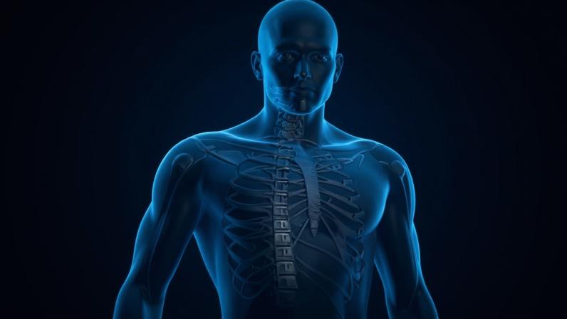 Alimentos ricos em ferro fortalecem o organismo e previnem anemia