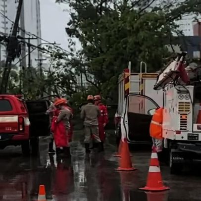 Árvore cai e bloqueia totalmente a Avenida Júlia Freire, em João Pessoa