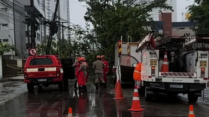 Queda de árvore na Avenida Júlia Freire