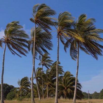 RS em alerta: vendaval com rajadas de até 60 km/h