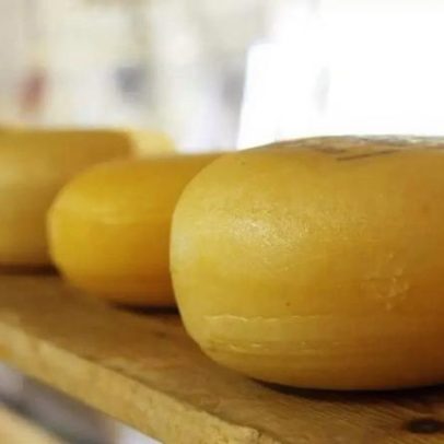 Evolução global do queijo: variedades e padrões aceitos ao redor do mundo