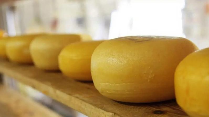 Evolução global do queijo: variedades e padrões aceitos ao redor do mundo