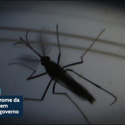 Vítimas de zika recebem indenização do governo