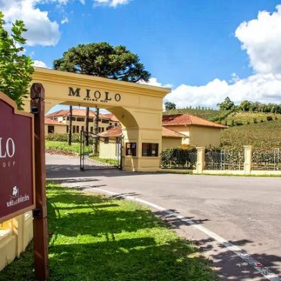 Miolo obtém certificação carbono neutro e revela mudança na produção de vinho