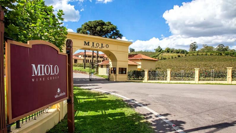 Vinícola Miolo - Vale dos Vinhedos