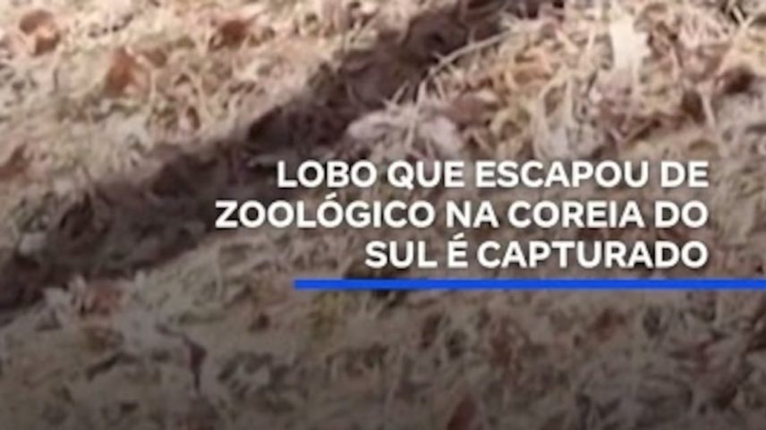 Reprodução canal do Youtube Record News