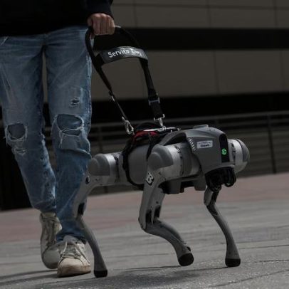 Cão-guia robô com IA que fala é desenvolvido para auxiliar deficientes visuais