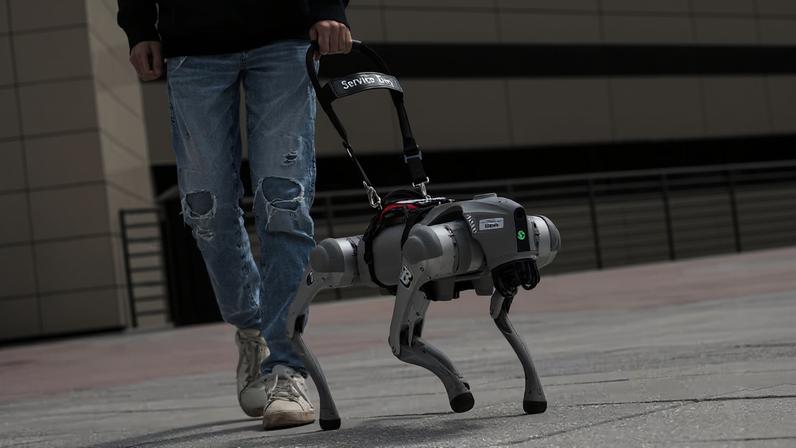 Cão-guia robô com IA que fala é desenvolvido para auxiliar deficientes visuais