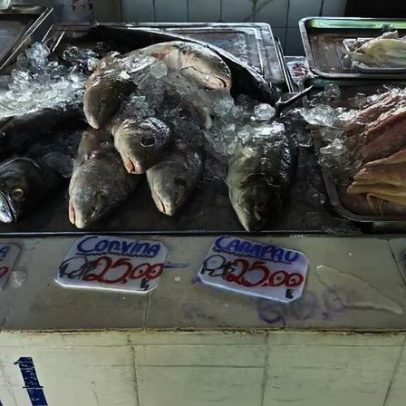Menina do Peixe: infância no Maranhão vira sonho que viralizou no Brasil