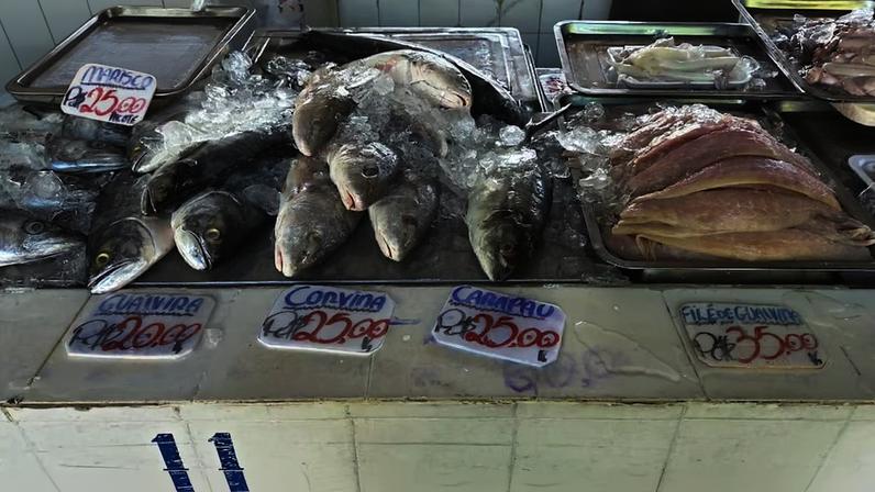 Peixes e mariscos inteiros em balcão com gelo. Foto: Giulia Howard/Estadão
