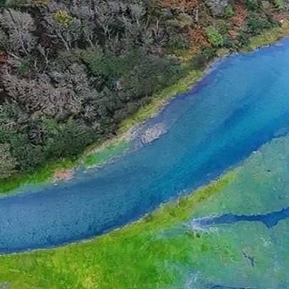 Nova pesquisa revela o que sabemos sobre o carbono azul