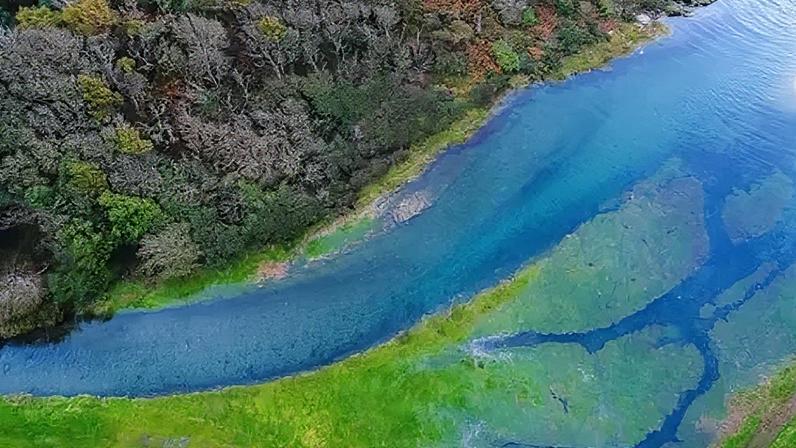 Nova pesquisa revela o que sabemos sobre o carbono azul