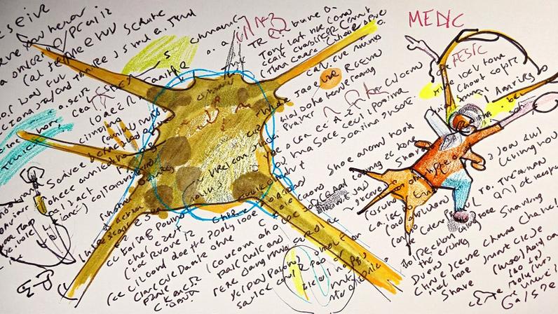 Artista bloqueia projétil de gelo com cavalete durante protestos