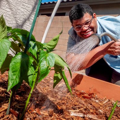 Dicas de jardinagem para facilitar a rega de plantas em vídeo