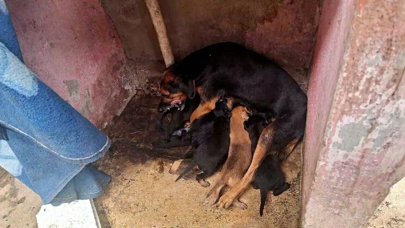 Imagem da operação policial
