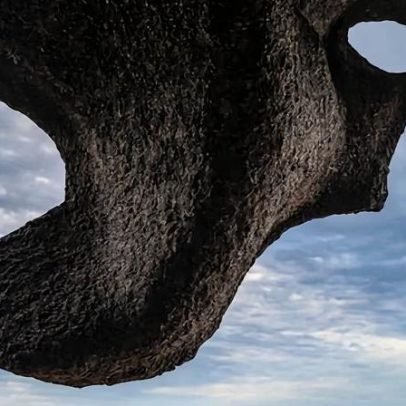 Jon McCormack: melhor foto de celular mostra a natureza como obra de arte