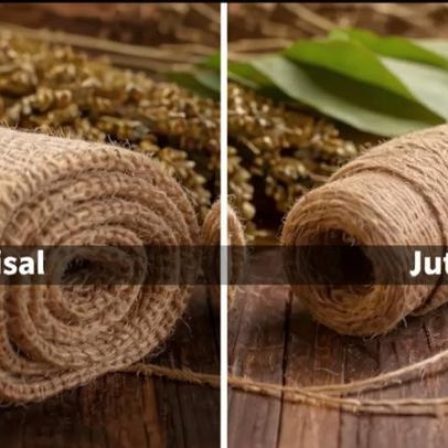 Fibras vegetais: diferenças entre elas e perspectivas futuras