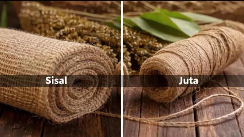 Fibras vegetais: diferenças entre elas e perspectivas futuras