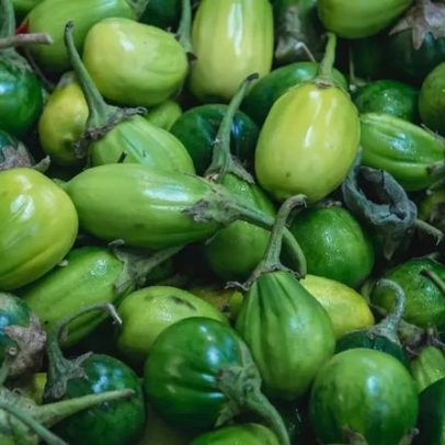 Jiló: um alimento poderoso com benefícios e formas de preparo