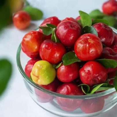 Acerola, fruta doméstica que une saúde e biodiversidade
