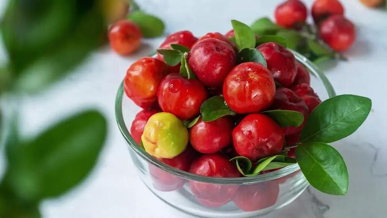 Aprenda o passo a passo para cultivar acerola em seu quintal