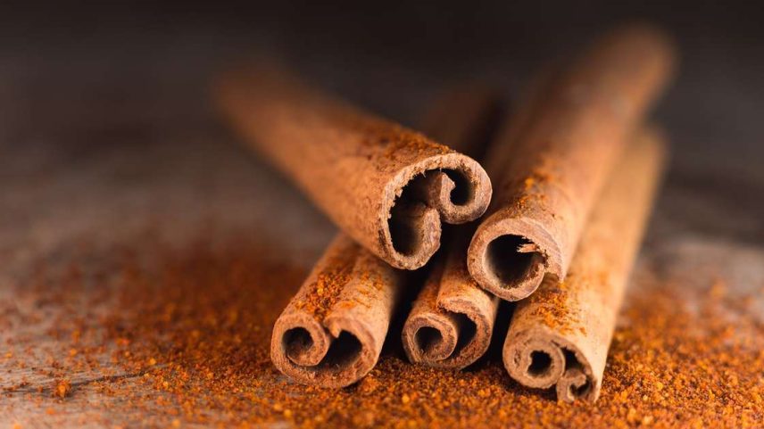 Canela, especiaria antiga, ajuda a regular o apetite