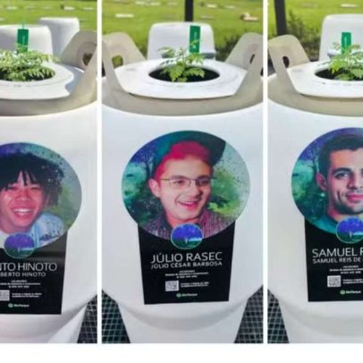 Sementes com cinzas de Mamonas Assassinas viram mudas