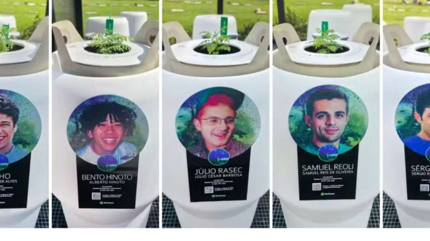 Sementes plantadas com cinzas