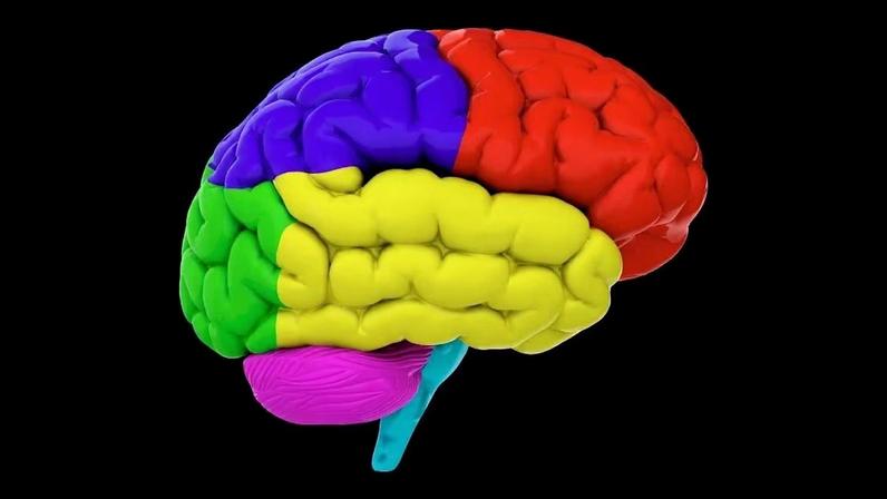 Dieta saudável após os 60 protege o cérebro. (Foto: Vasabii via Canva)