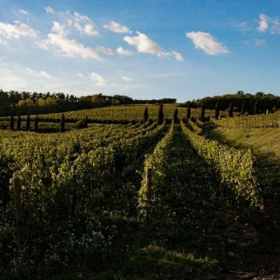 Toscânia: Castello di Radda e Cantina Fabio Motta apresentam duas faces