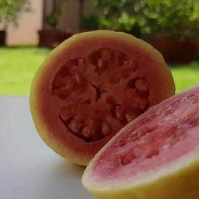 Goiaba oferece valor nutricional, versatilidade e força econômica