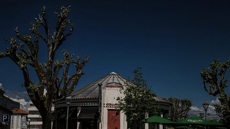 Viana do Castelo terá festival com 40 mil flores em maio