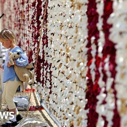 Manifestantes exibem 20.000 ursinhos para crianças ucranianas desaparecidas