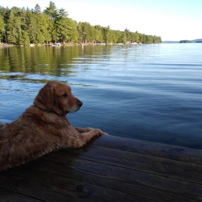 Fuja do barulho: destino off-grid no Maine