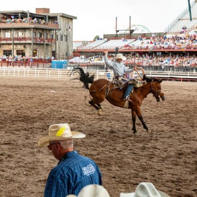 Cultura caubói de Wyoming prospera, atraindo fãs de Yellowstone