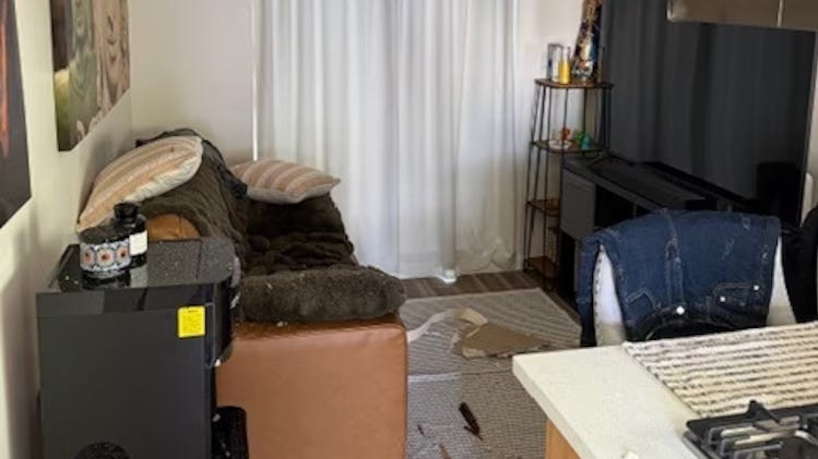 Photo, provided by officials, of the damage left by the falling ice.