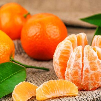 Tangerina, poncã ou bergamota: entenda as diferenças entre as frutas