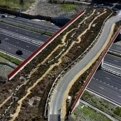 Reino Unido inaugura ponte verde para reconectar habitats e proteger fauna