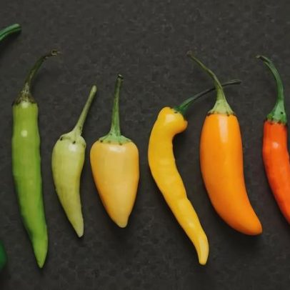 Pimentas suaves: como aproveitar o sabor sem ardência