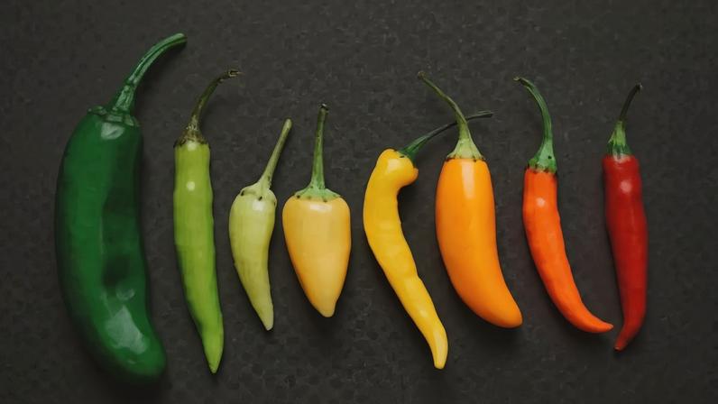 Pimentas suaves: como aproveitar o sabor sem ardência