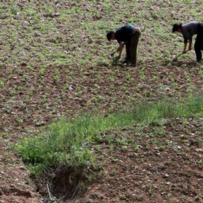 Seca agrava risco de fome na Coreia do Norte