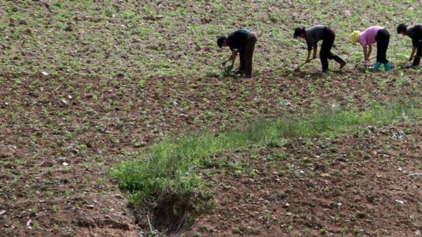 Coreia do Norte há anos enfrenta crises de escassez de alimentos