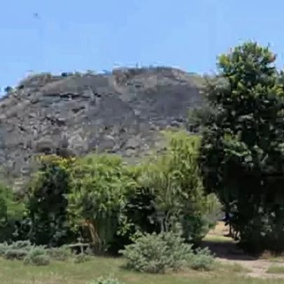 Rio de Janeiro abriga a maior floresta urbana do planeta