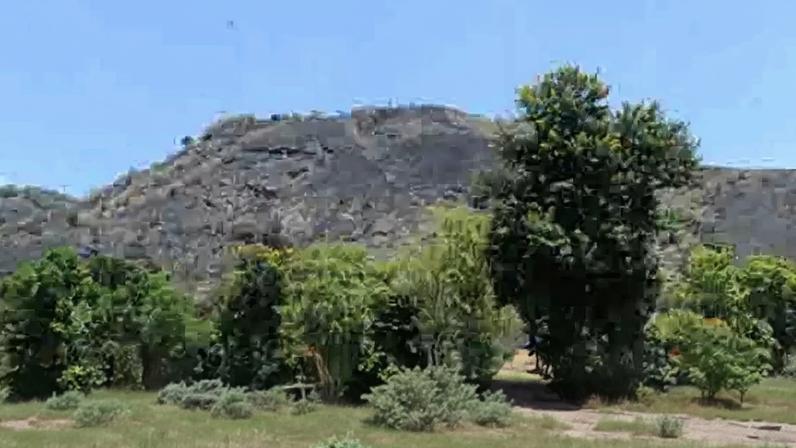 Rio de Janeiro abriga a maior floresta urbana do planeta