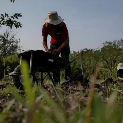 Projeto de lei facilita acesso de pequenos produtores a máquinas em Porto Alegre