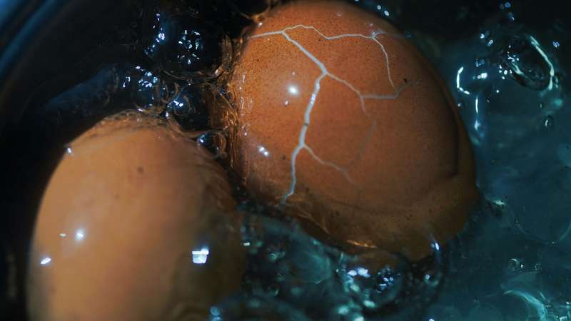 Um ovo cozido por dia traz benefícios que vão da força muscular à melhora da memória. Descubra como a colina e as proteínas turbinam a saúde