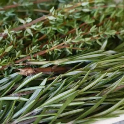 Alecrim reduz estresse: aprenda a usar na alimentação da semana