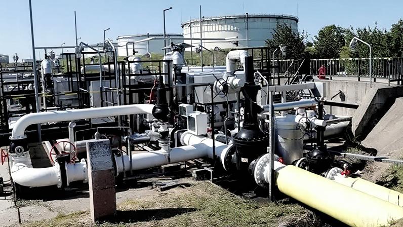 Oil supplies through the Druzhba pipeline into Hungary and Slovakia were halted at the end of January (file pic)