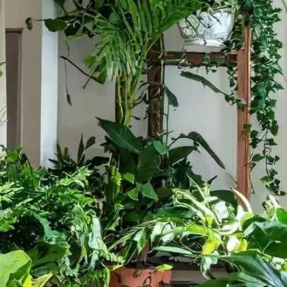 Espelhos gigantes ampliam cômodo e iluminam melhor o ambiente